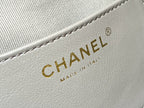 CHANEL 25 HANDBAG IN GREY 30 SUEDE GOLD HARDWARE