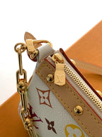 POCHETTE ACCESSOIRES BAG 22 IN MULTICOLOR MONOGRAM CANVAS AND COWHIDE