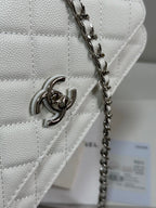 CHANEL FLAP BAG WITH SILVER-TONE HANDLE 19 IN WHITE CAVIAR SKIN